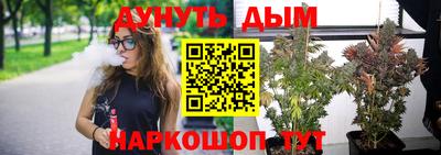 мяу мяу мука Северобайкальск